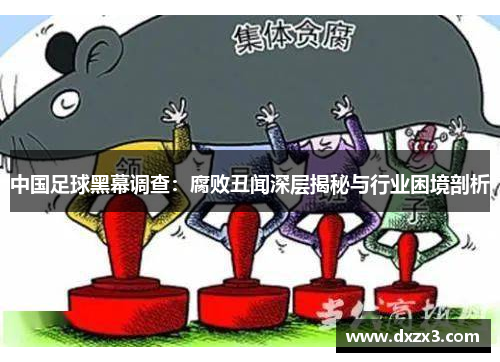 中国足球黑幕调查：腐败丑闻深层揭秘与行业困境剖析