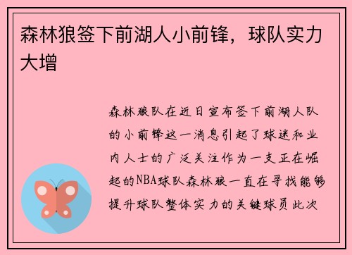 森林狼签下前湖人小前锋，球队实力大增