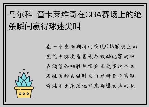 马尔科-查卡莱维奇在CBA赛场上的绝杀瞬间赢得球迷尖叫